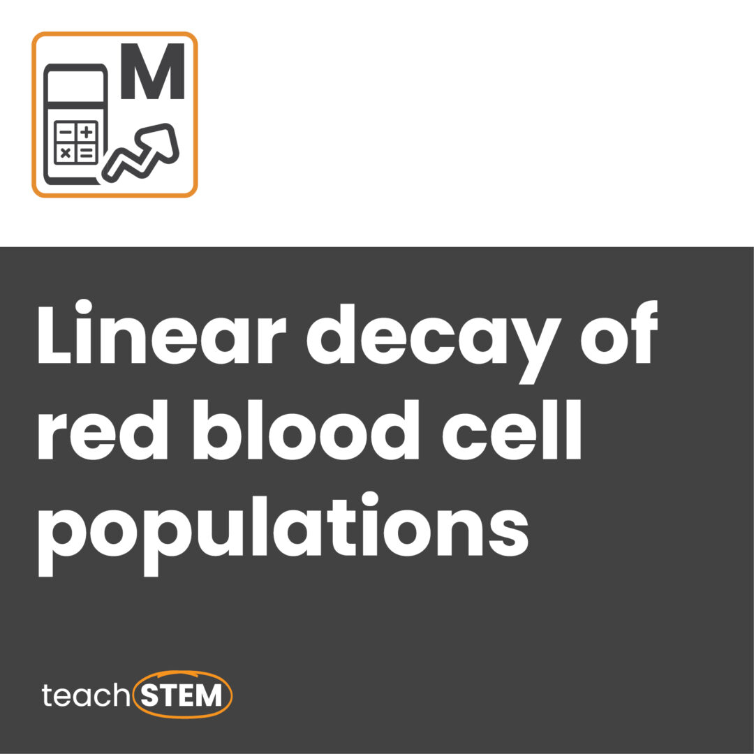 Linear decay of red blood cell populations